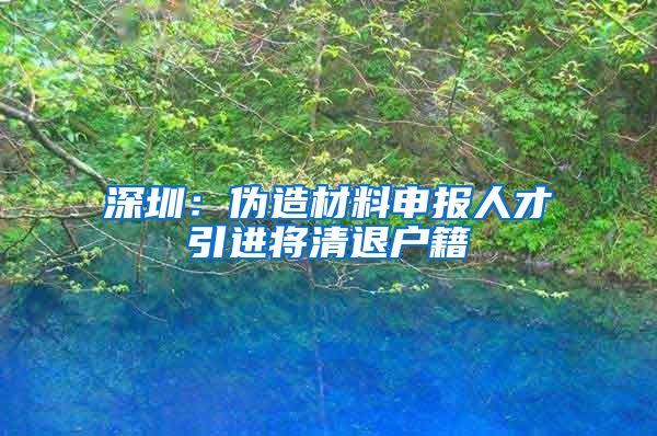 深圳：伪造材料申报人才引进将清退户籍