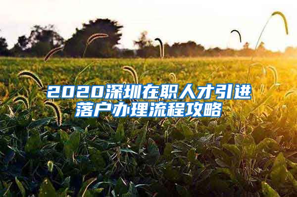 2020深圳在职人才引进落户办理流程攻略