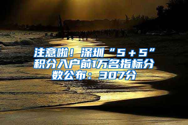 注意啦！深圳“5＋5”积分入户前1万名指标分数公布：307分