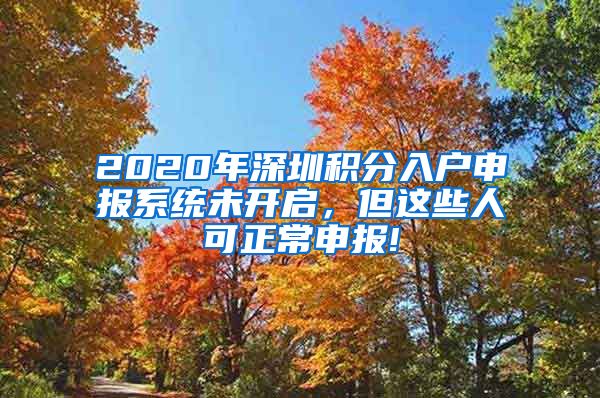 2020年深圳积分入户申报系统未开启，但这些人可正常申报!