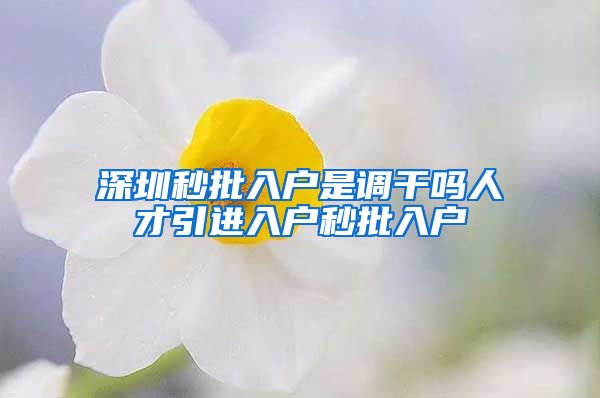 深圳秒批入户是调干吗人才引进入户秒批入户