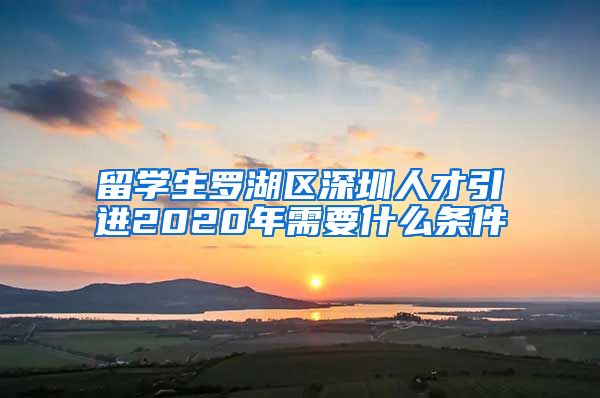 留学生罗湖区深圳人才引进2020年需要什么条件