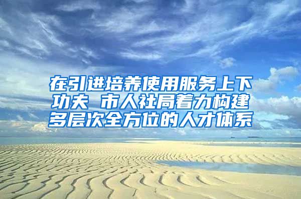 在引进培养使用服务上下功夫 市人社局着力构建多层次全方位的人才体系