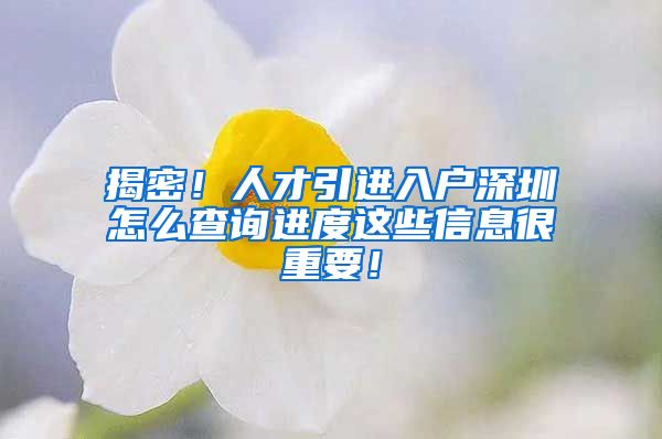 揭密！人才引进入户深圳怎么查询进度这些信息很重要！