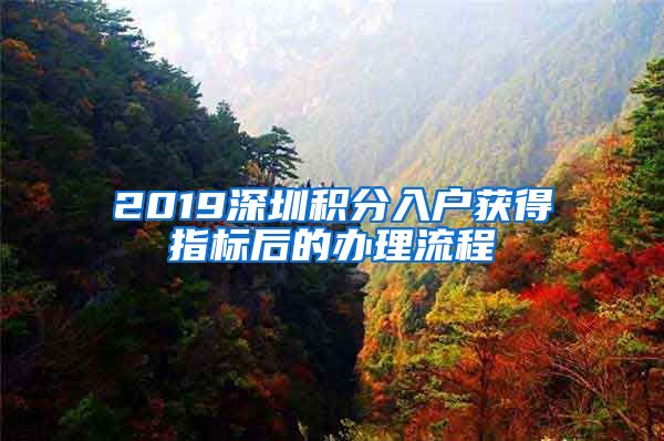 2019深圳积分入户获得指标后的办理流程