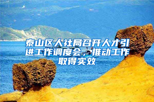 泰山区人社局召开人才引进工作调度会，推动工作取得实效