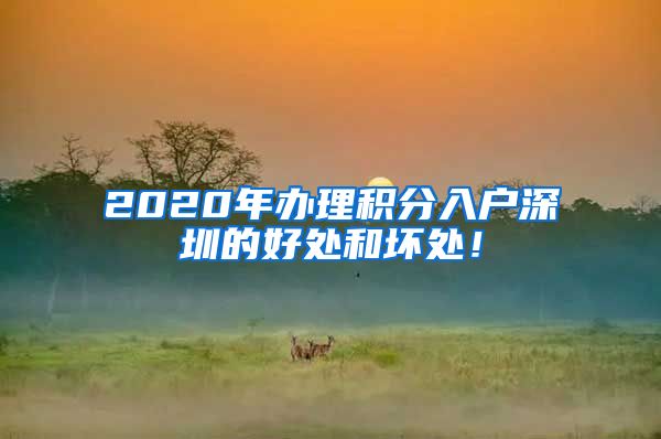 2020年办理积分入户深圳的好处和坏处！