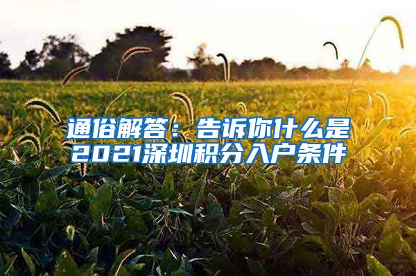 通俗解答：告诉你什么是2021深圳积分入户条件