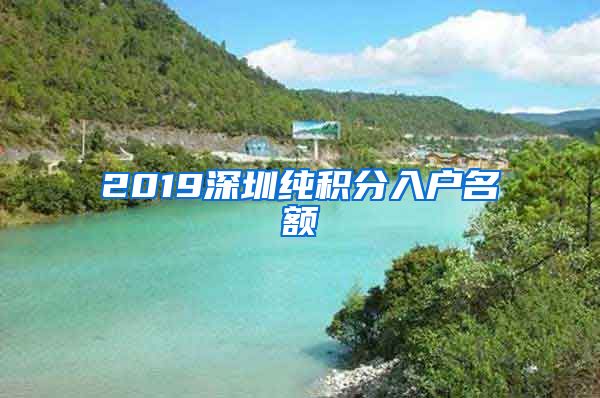 2019深圳纯积分入户名额