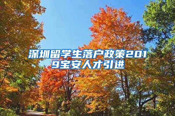 深圳留学生落户政策2019宝安人才引进