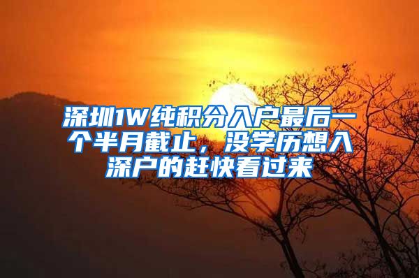 深圳1W纯积分入户最后一个半月截止，没学历想入深户的赶快看过来