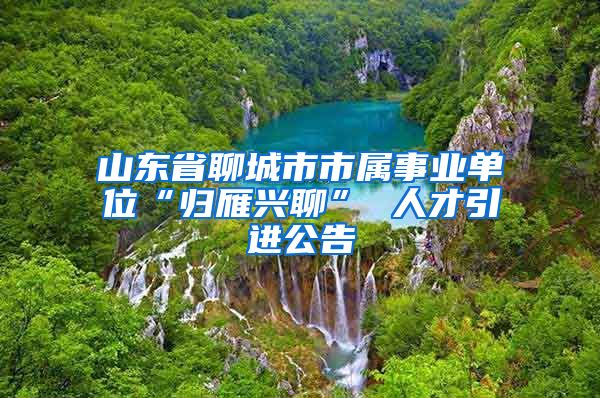 山东省聊城市市属事业单位“归雁兴聊” 人才引进公告