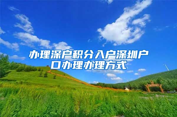 办理深户积分入户深圳户口办理办理方式