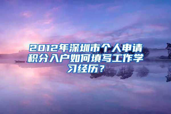 2012年深圳市个人申请积分入户如何填写工作学习经历？