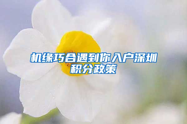 机缘巧合遇到你入户深圳积分政策