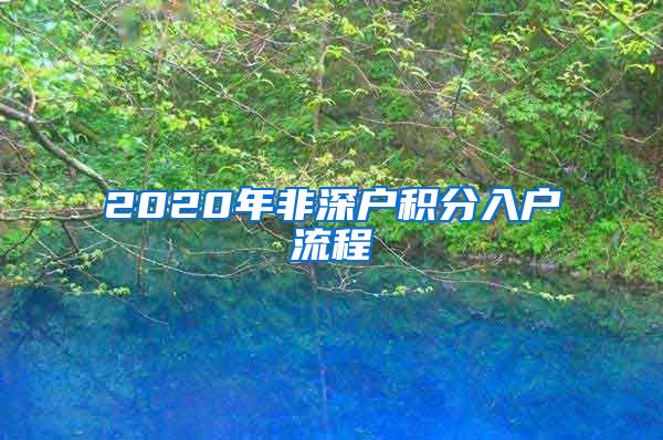 2020年非深户积分入户流程