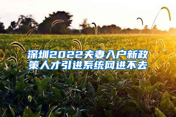 深圳2022夫妻入户新政策人才引进系统网进不去