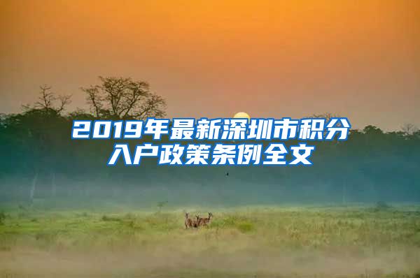 2019年最新深圳市积分入户政策条例全文