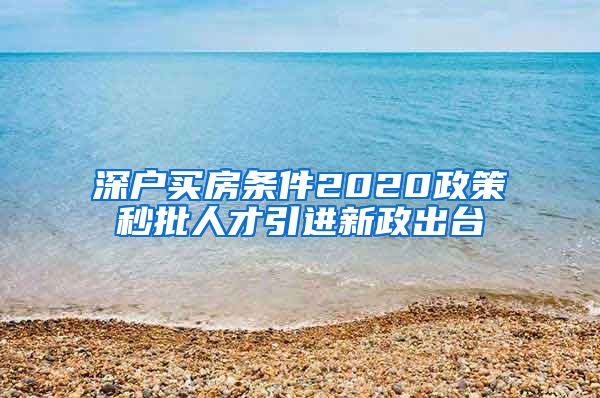 深户买房条件2020政策秒批人才引进新政出台