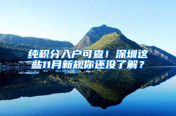 纯积分入户可查！深圳这些11月新规你还没了解？