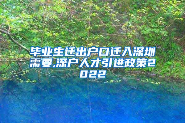 毕业生迁出户口迁入深圳需要,深户人才引进政策2022