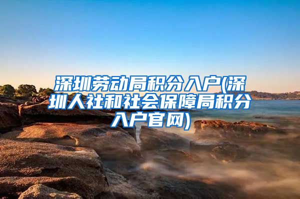 深圳劳动局积分入户(深圳人社和社会保障局积分入户官网)