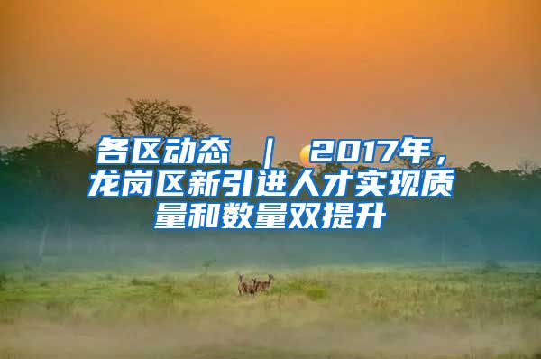 各区动态 ｜ 2017年，龙岗区新引进人才实现质量和数量双提升