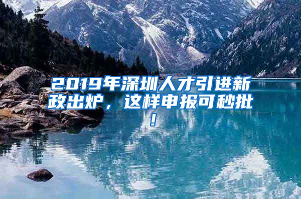 2019年深圳人才引进新政出炉，这样申报可秒批！