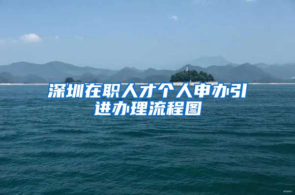 深圳在职人才个人申办引进办理流程图