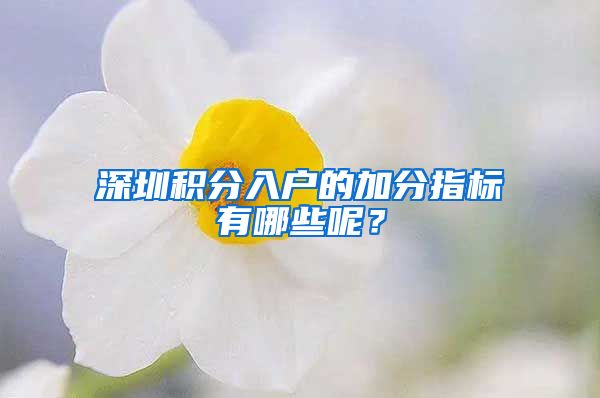 深圳积分入户的加分指标有哪些呢？