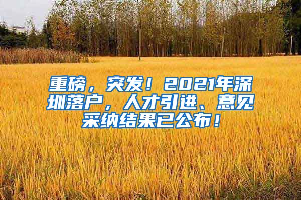 重磅，突发！2021年深圳落户，人才引进、意见采纳结果已公布！