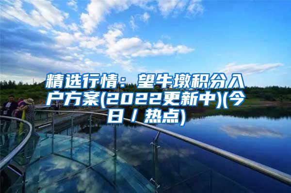 精选行情：望牛墩积分入户方案(2022更新中)(今日／热点)