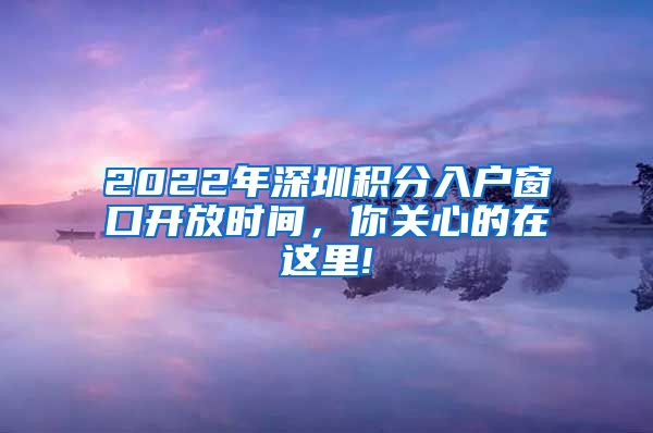 2022年深圳积分入户窗口开放时间，你关心的在这里!