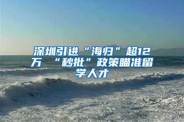 深圳引进“海归”超12万 “秒批”政策瞄准留学人才