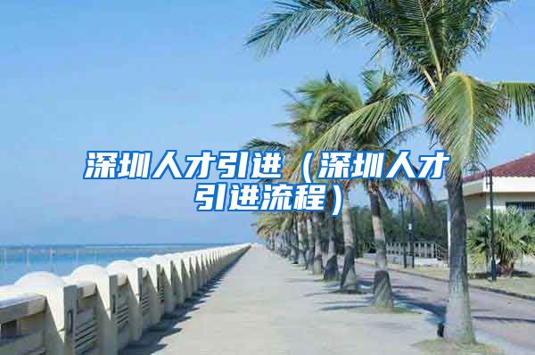 深圳人才引进（深圳人才引进流程）