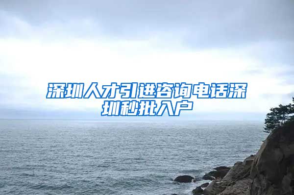 深圳人才引进咨询电话深圳秒批入户