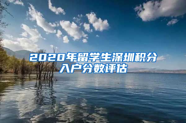 2020年留学生深圳积分入户分数评估