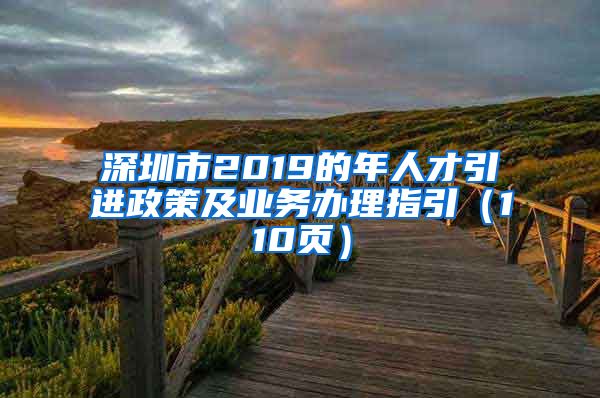 深圳市2019的年人才引进政策及业务办理指引（110页）