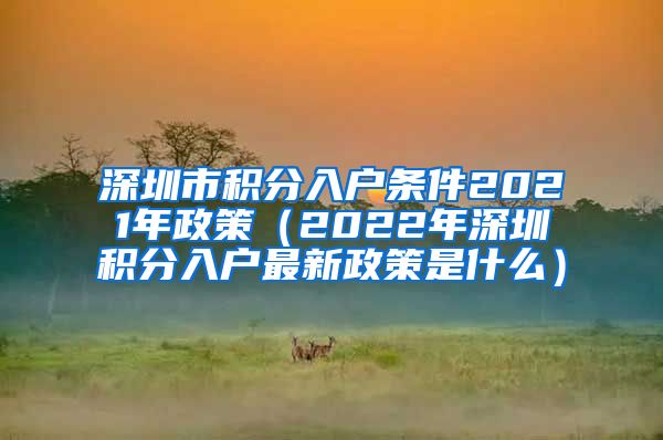 深圳市积分入户条件2021年政策（2022年深圳积分入户最新政策是什么）