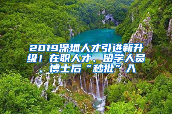 2019深圳人才引进新升级！在职人才、留学人员、博士后“秒批”入