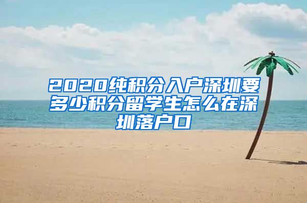 2020纯积分入户深圳要多少积分留学生怎么在深圳落户口