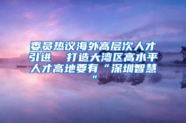 委员热议海外高层次人才引进  打造大湾区高水平人才高地要有“深圳智慧”