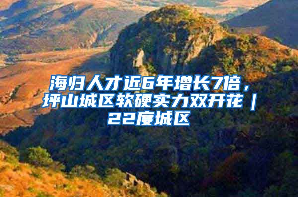 海归人才近6年增长7倍，坪山城区软硬实力双开花｜22度城区⑧