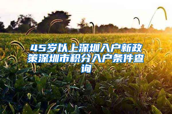 45岁以上深圳入户新政策深圳市积分入户条件查询