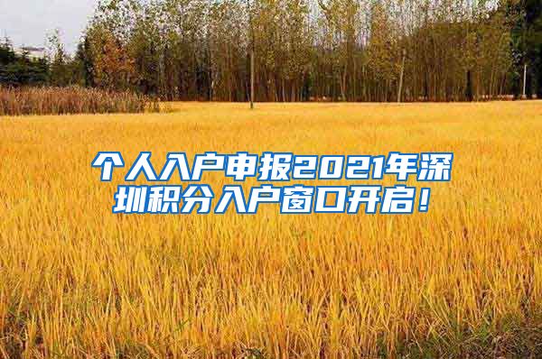 个人入户申报2021年深圳积分入户窗口开启！