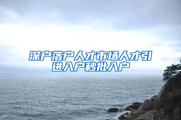 深户落户人才市场人才引进入户秒批入户