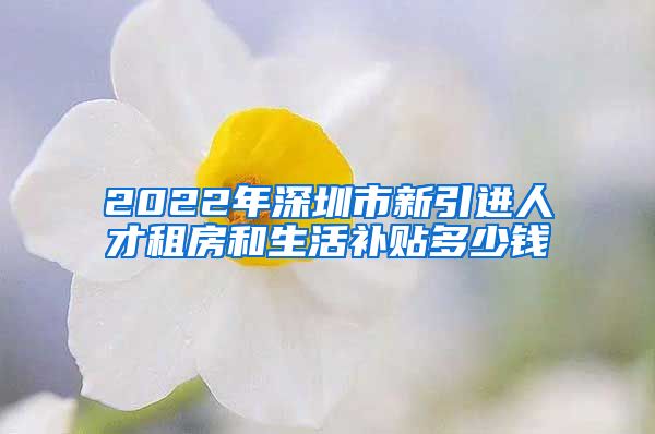 2022年深圳市新引进人才租房和生活补贴多少钱