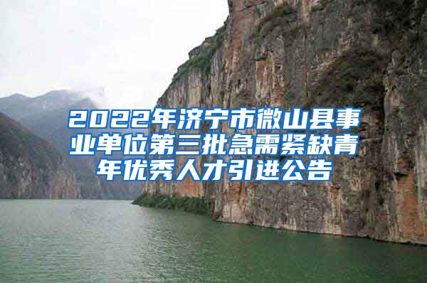 2022年济宁市微山县事业单位第三批急需紧缺青年优秀人才引进公告