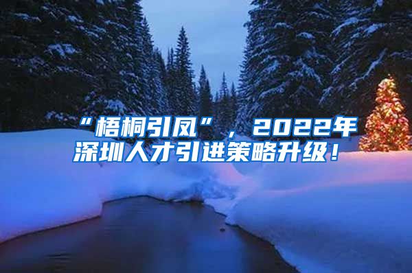 “梧桐引凤”，2022年深圳人才引进策略升级！