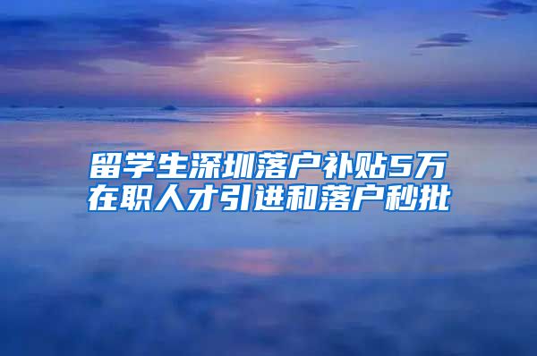 留学生深圳落户补贴5万在职人才引进和落户秒批